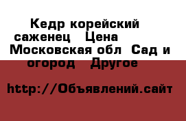  Кедр корейский - саженец › Цена ­ 2 500 - Московская обл. Сад и огород » Другое   